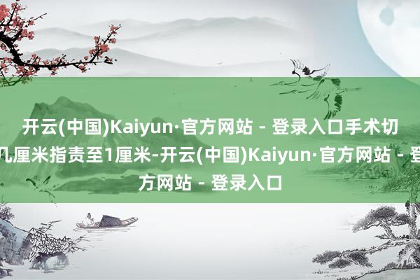 开云(中国)Kaiyun·官方网站 - 登录入口手术切口从十几厘米指责至1厘米-开云(中国)Kaiyun·官方网站 - 登录入口